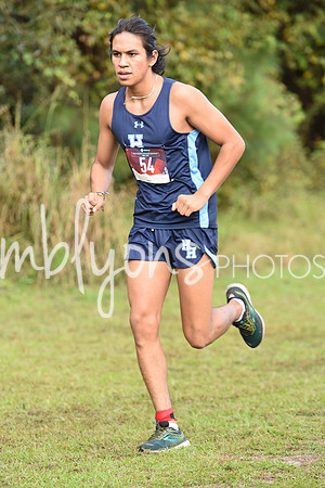 DSC_8771-1_edited-1
