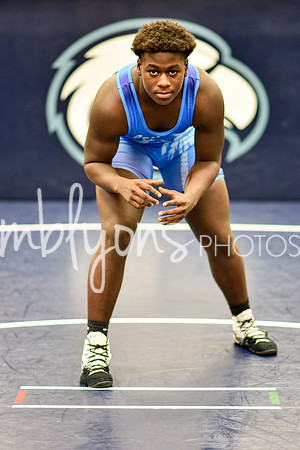 Ford_Amare-2