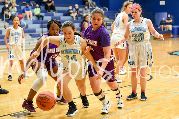 DSC_9531_edited-1