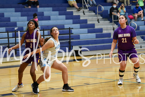 DSC_9545_edited-1