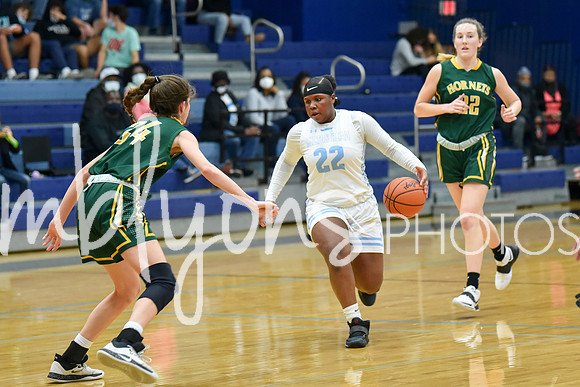 DSC_1127-11_edited-1