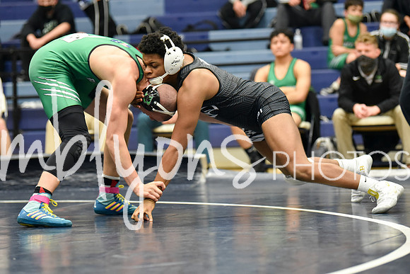 DSC_3144_edited-1