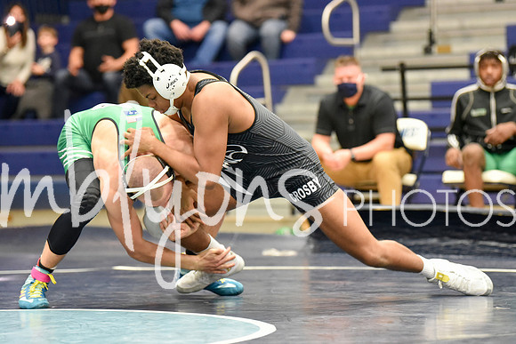DSC_3134-1_edited-1
