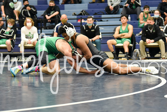 DSC_3142_edited-1