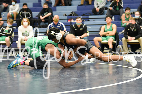 DSC_3141_edited-1