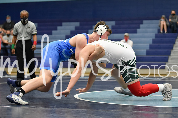 DSC_3382-1_edited-1