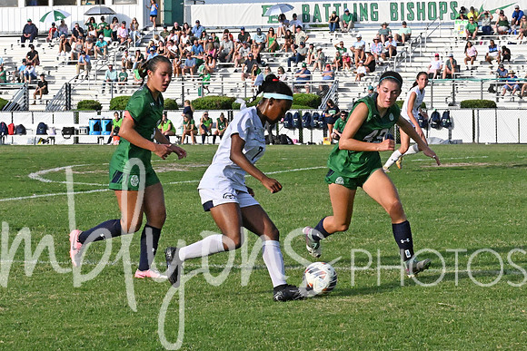 DSC_6467-12_edited-1