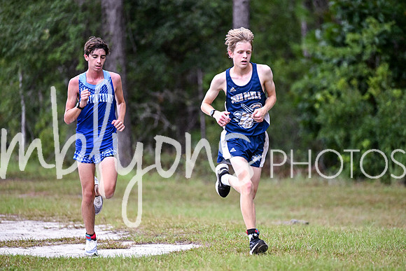 DSC_9864_edited-1