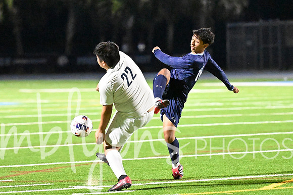 DSC_2784-1_edited-1