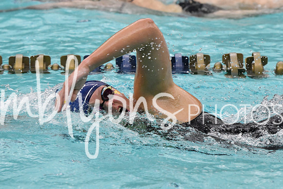 DSC_3064_edited-1