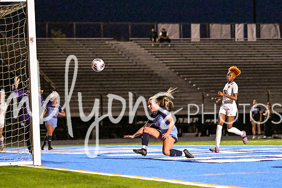 DSC_7949_edited-1