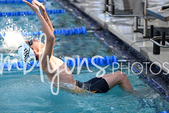 DSC_1104-1_edited-1