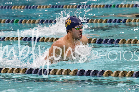 DSC_3523_edited-1