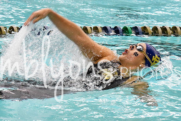 DSC_4104-1_edited-1