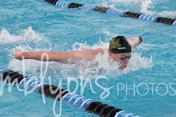 DSC_5954-1_edited-1