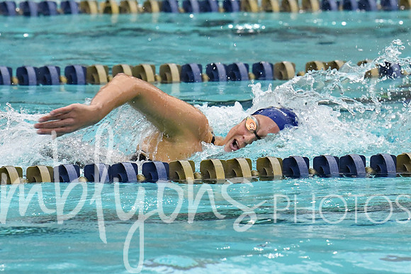 DSC_1801_edited-1