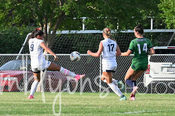 DSC_6461-11_edited-1