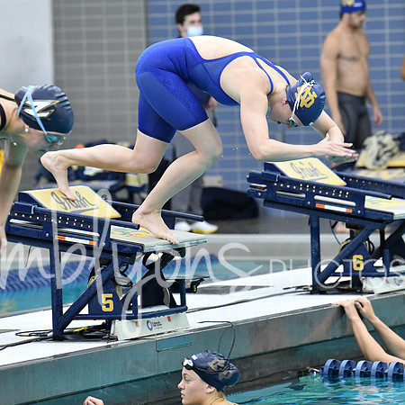 DSC_2310_edited-1