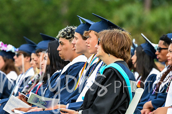DSC_7167_edited-1