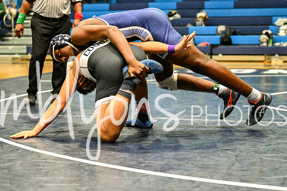 DSC_6524-1_edited-1