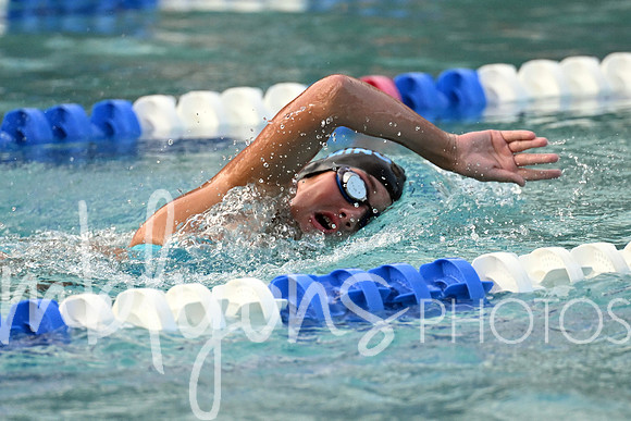 DSC_1736-1_edited-1