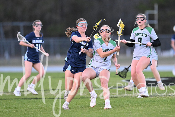 DSC_3735_edited-1