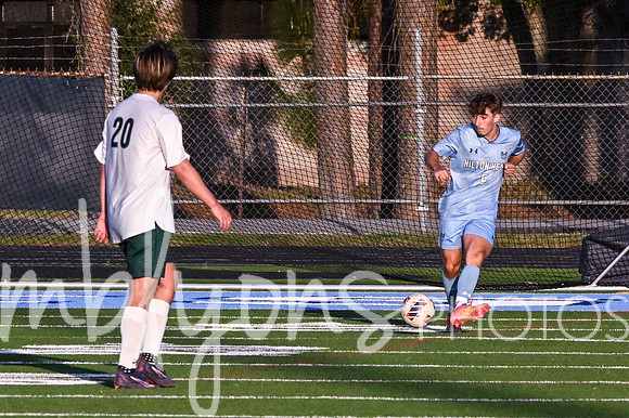 DSC_5311_edited-1