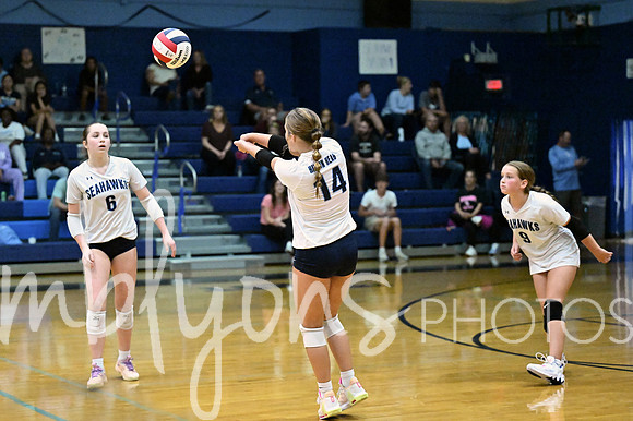 DSC_5780-1_edited-1
