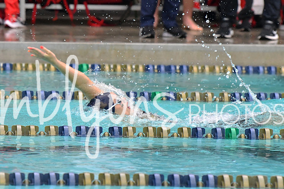 DSC_4085-1_edited-1