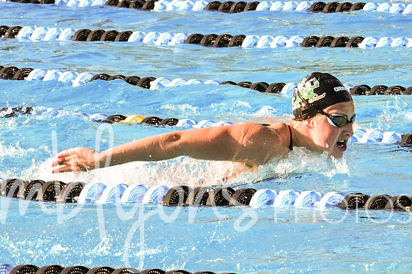 DSC_5252-1_edited-1