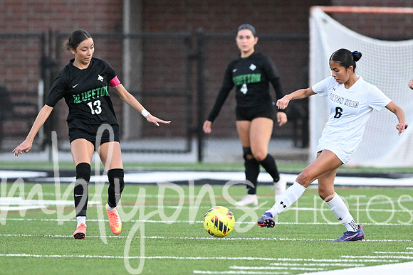 DSC_6767-1_edited-1