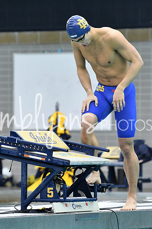 DSC_4560-1_edited-1