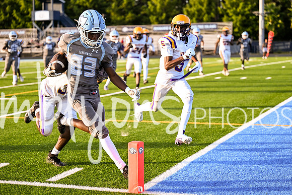 DSC_7633-1_edited-1