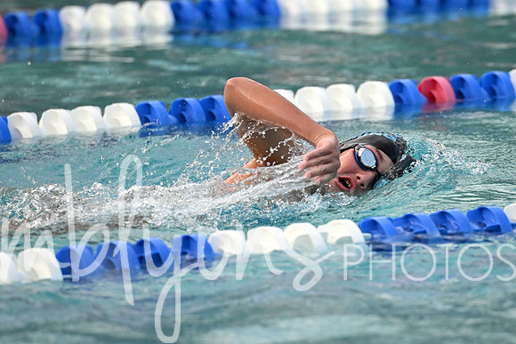 DSC_1735-1_edited-1