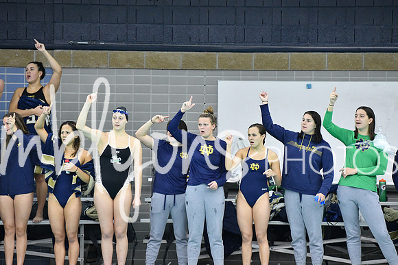 DSC_3639-1_edited-1