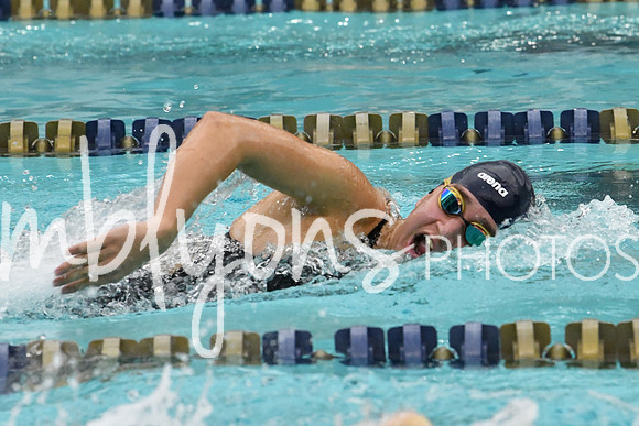 DSC_3419_edited-1