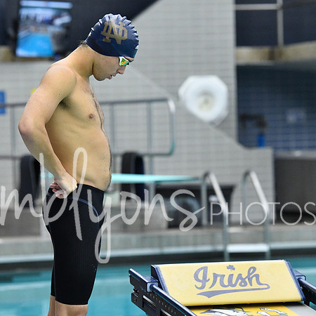 DSC_2336_edited-1