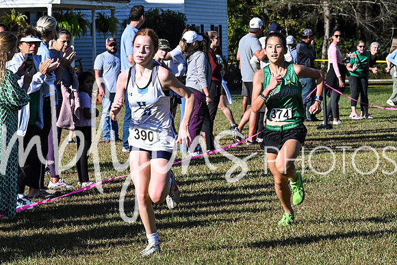 DSC_7319_edited-1