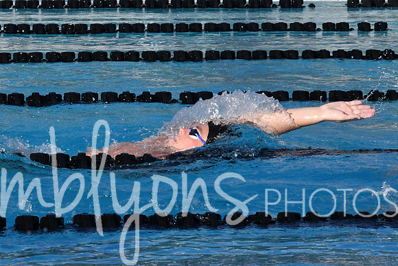 DSC_6491-1_edited-1