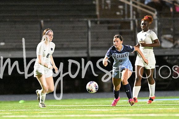 DSC_2140_edited-1
