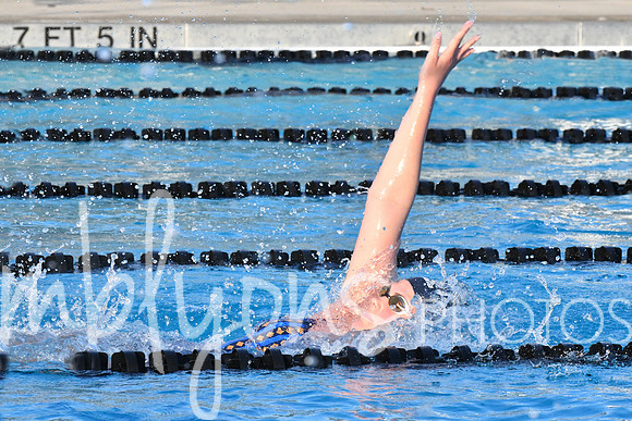 DSC_6410-1_edited-1
