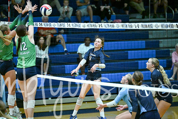 DSC_9934_edited-1