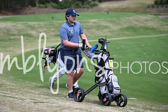 DSC_3466_edited-1