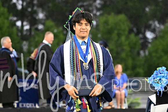 DSC_7459-1_edited-1