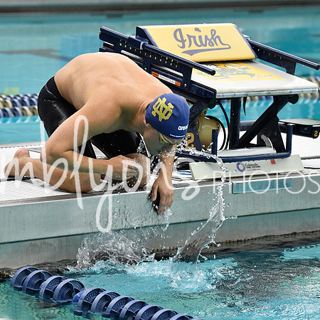 DSC_4511-1_edited-1