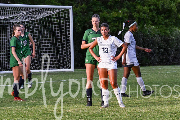 DSC_6501_edited-1