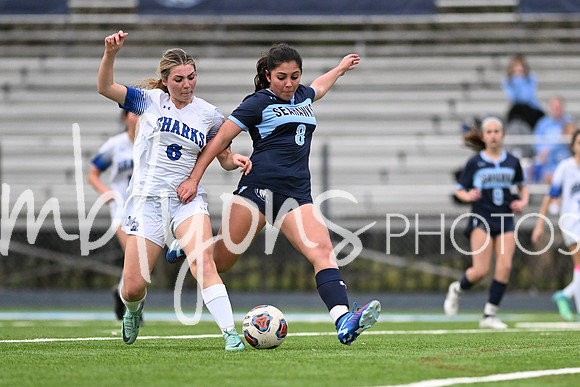 DSC_3102-1_edited-1