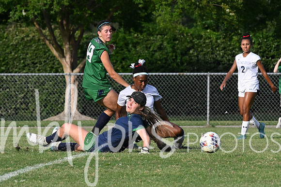DSC_6373-1_edited-1