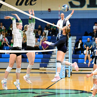 DSC_9823-1_edited-1