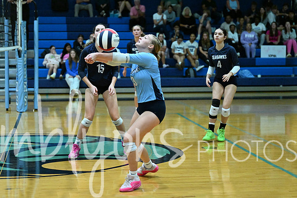 DSC_6176-1_edited-1